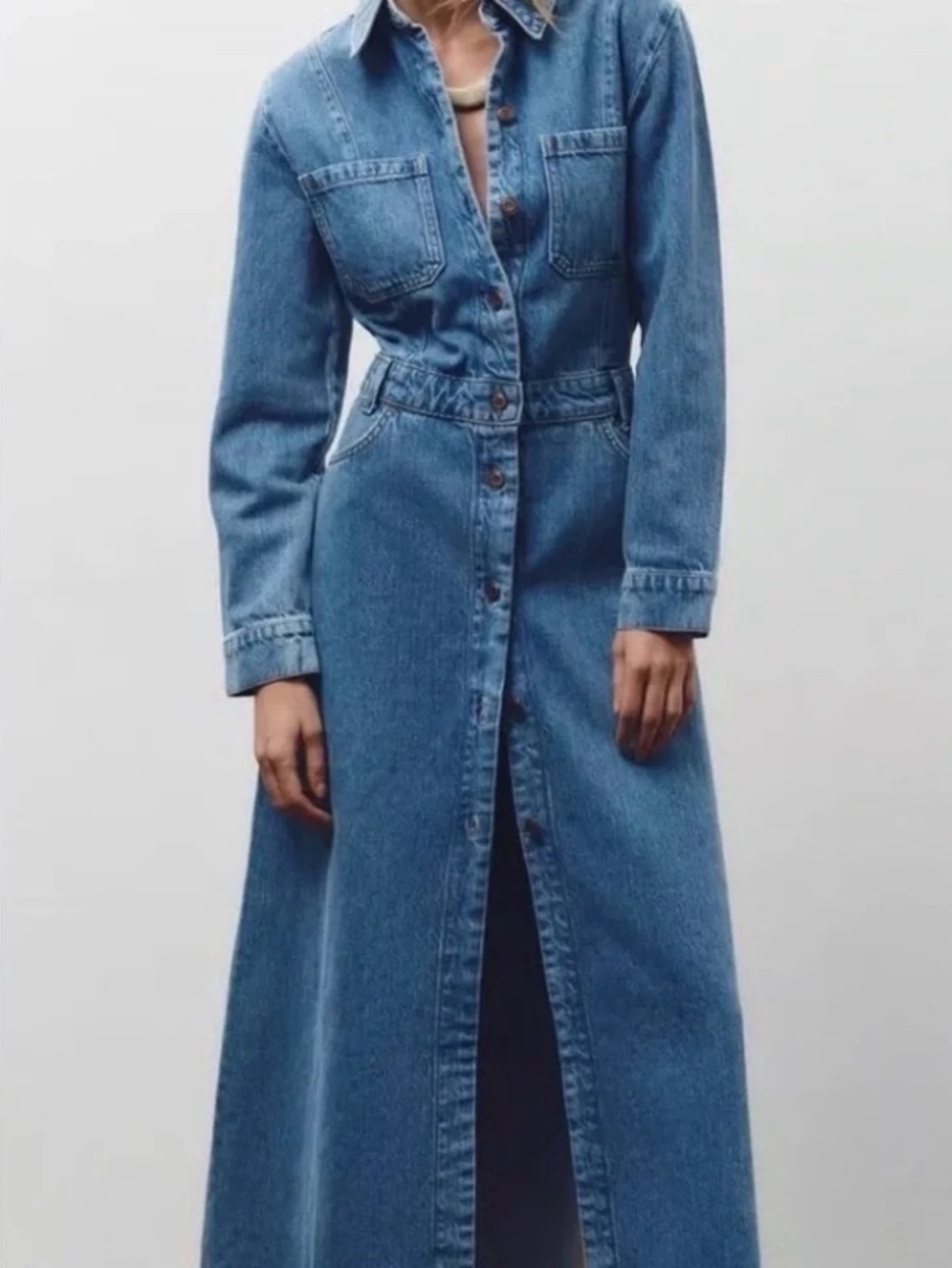Zara Maxi Denim Dress | Small